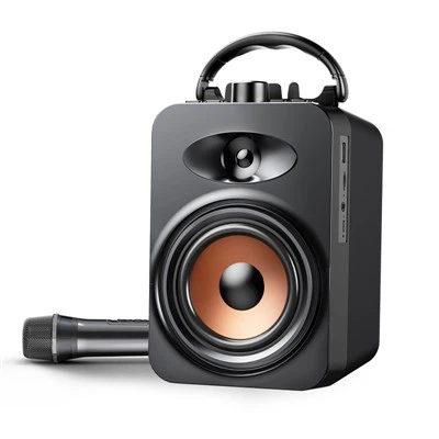 Bærbar karaoke -høyttaler med mikrofon